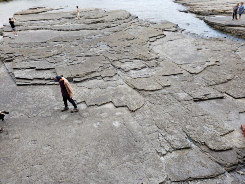 Walking along a dinosaur footprint trail