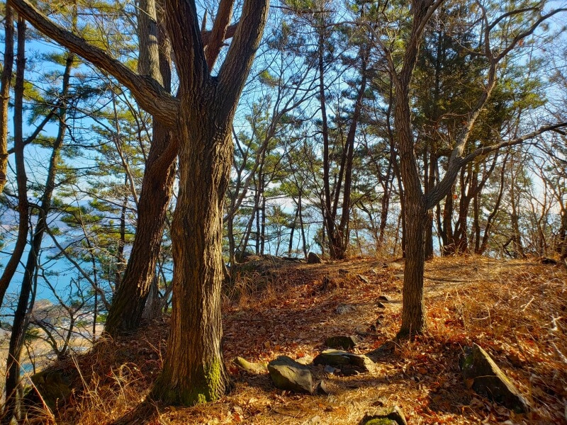 A mountain ridge with tree roots and rocks sticking up with blue sea in the background