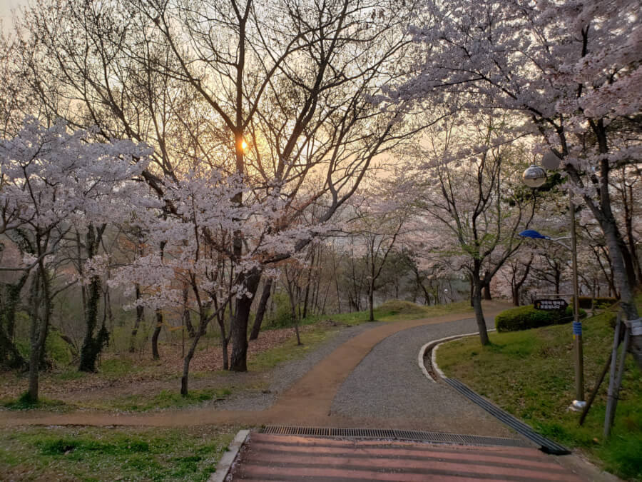 Junction leading to footpath at Namsan