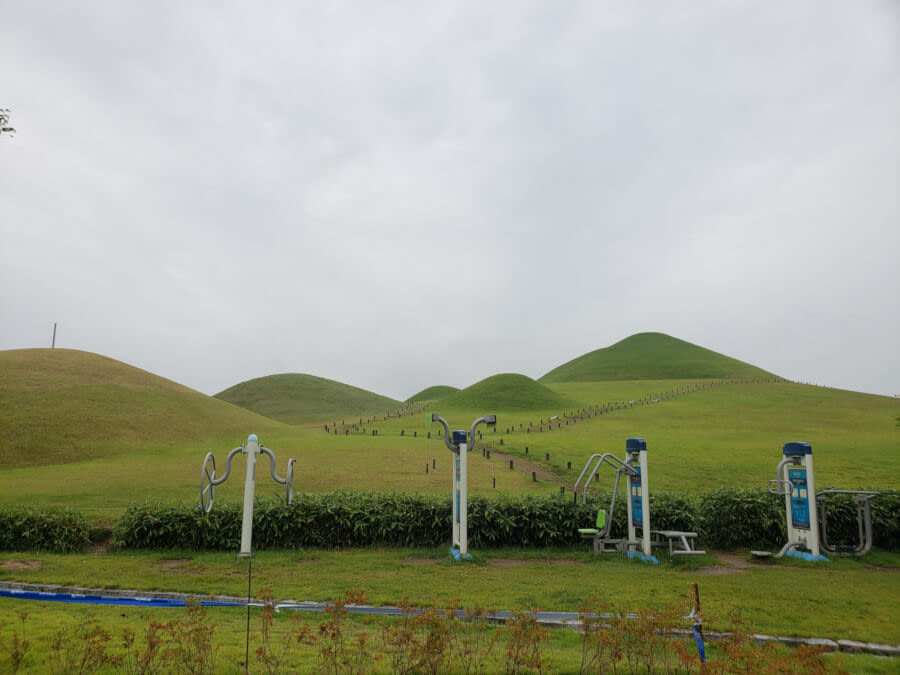 A row of exercise machines in the grass in front of the Songhakdong tomb cluster