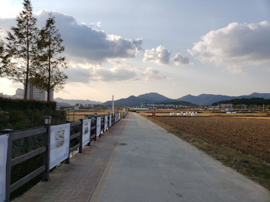 Path along some brown fields with pictures on the fence along the path at sunset