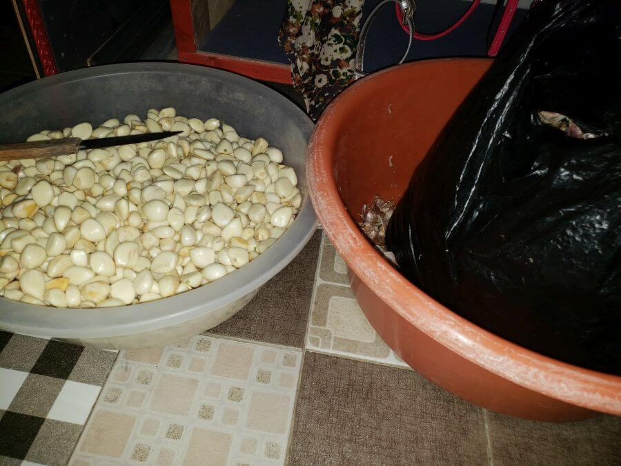 Large plastic tub of garlic cloves