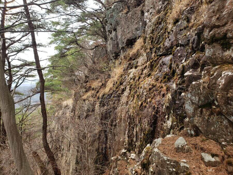 Moss and growth on a steep rockface
