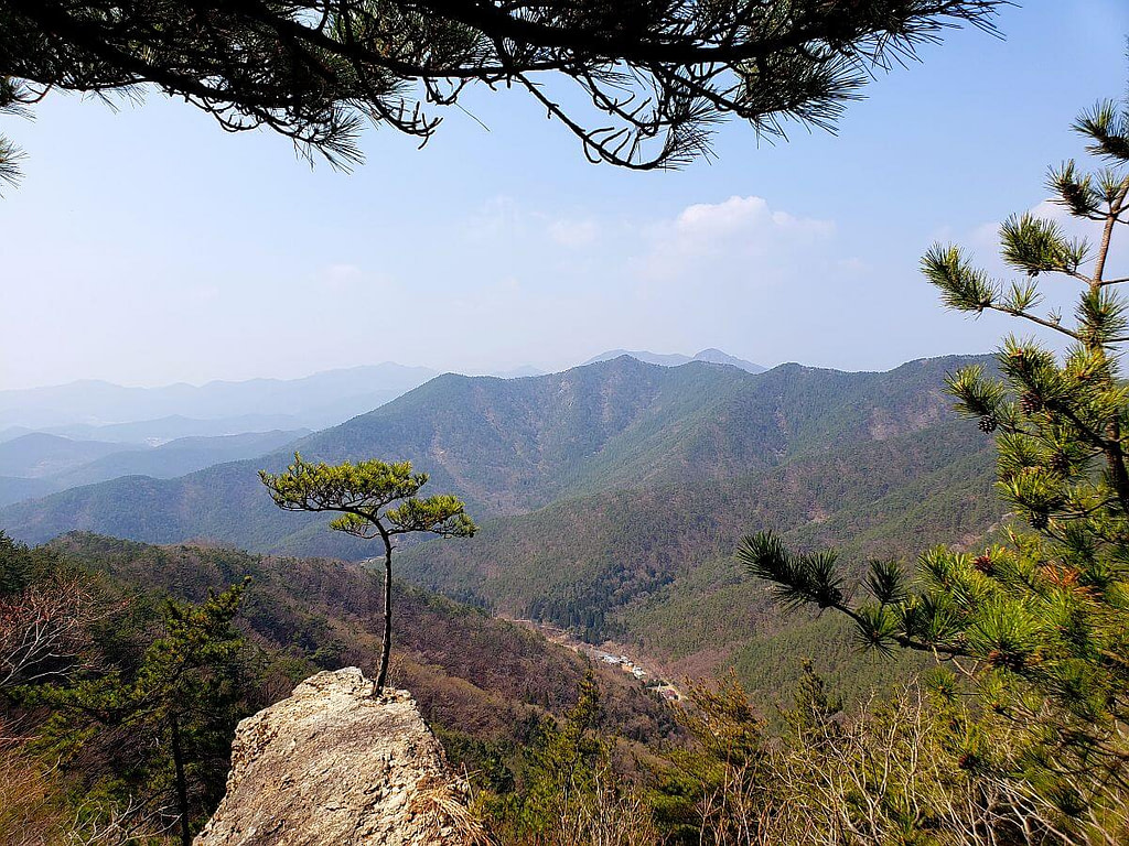 Galmobong Forest Featured