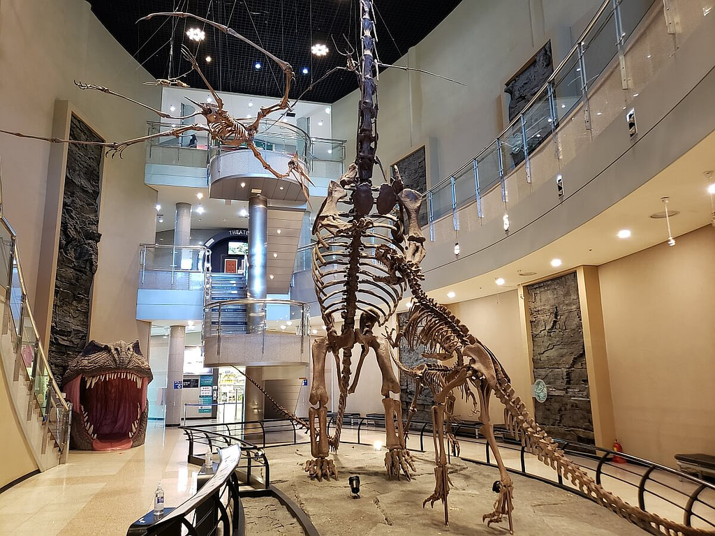 Goseong Dinosaur Museum featured