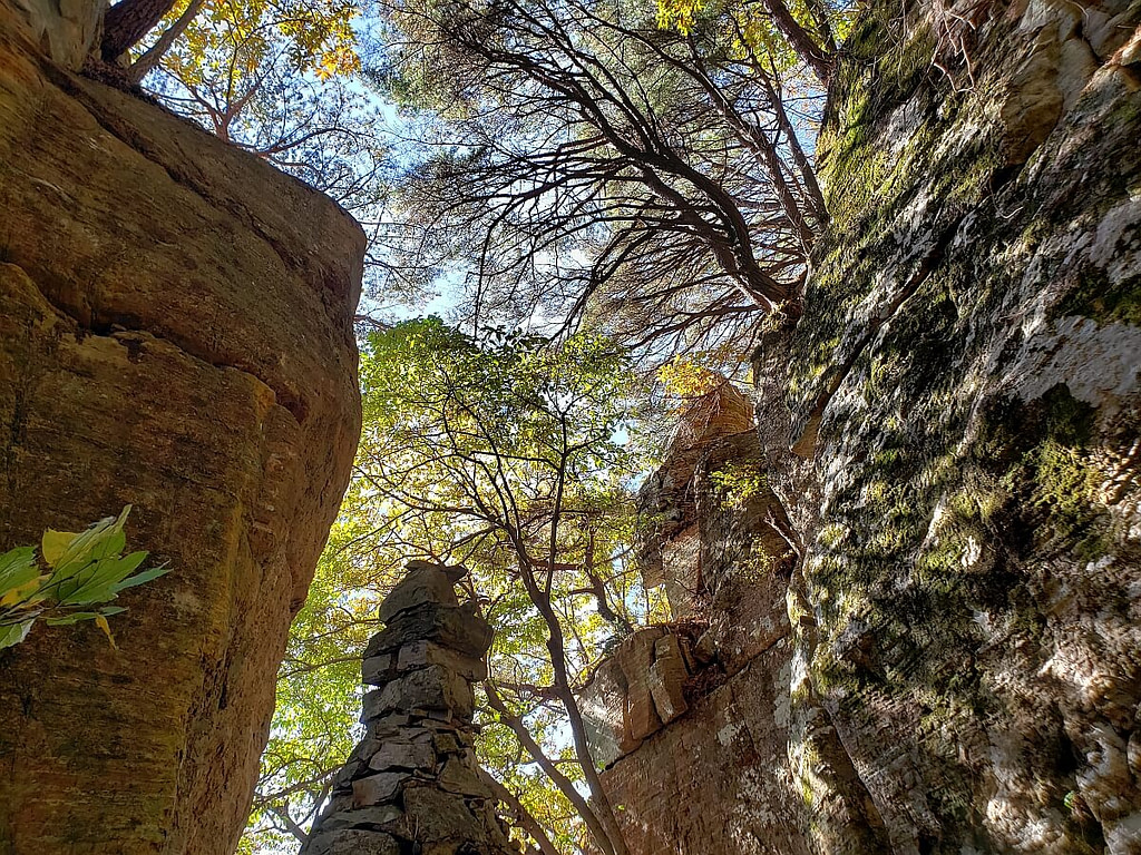 Trees growing over cliffs and rocks at Yeonhwasan Provincial Park in Goseong, South Korea