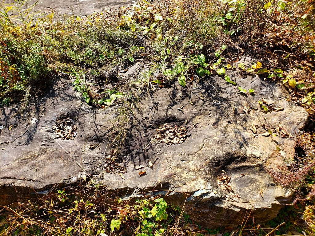 Dinosaur footprints at Yeonhwasan Provincial Park in Goseong, Korea