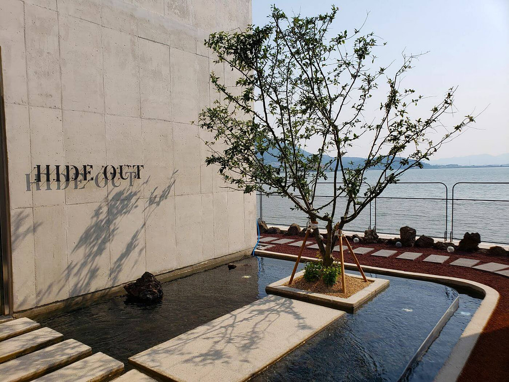 The Hideout Bakery Café with a tree growing surrounded by a small water pool