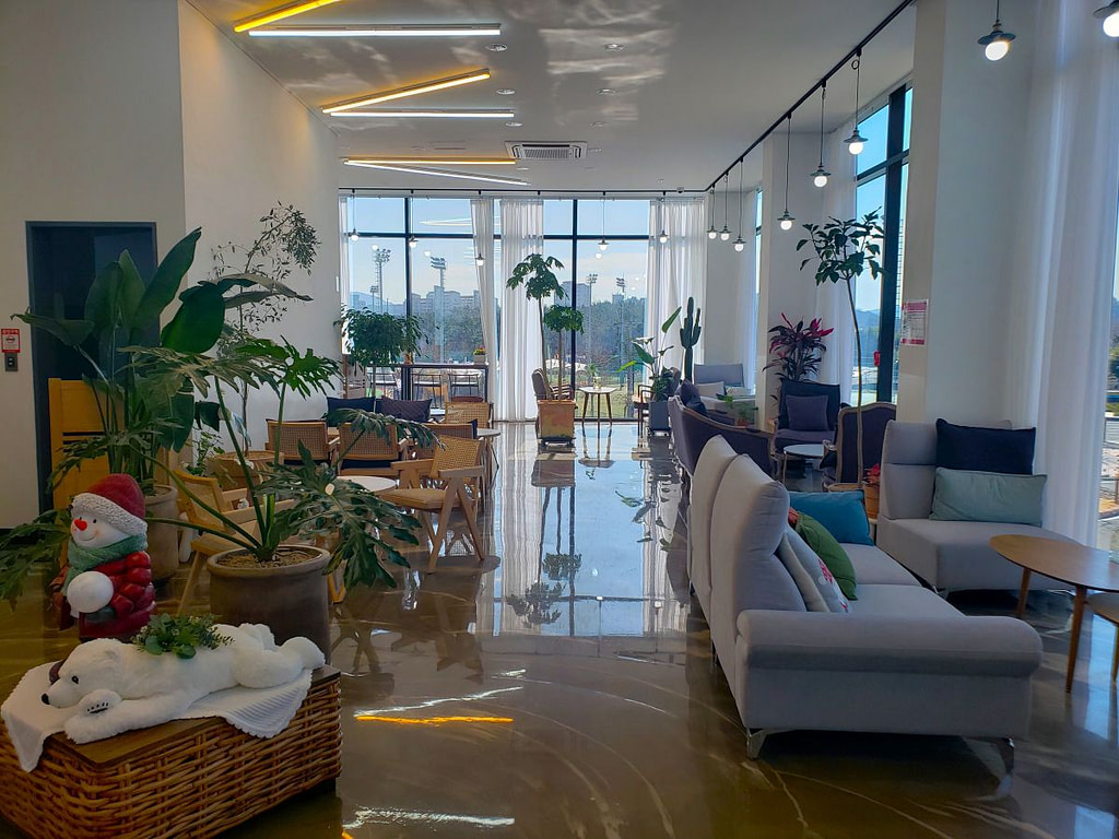 Crepe Lion couches and windows with plants and a Santa decoration