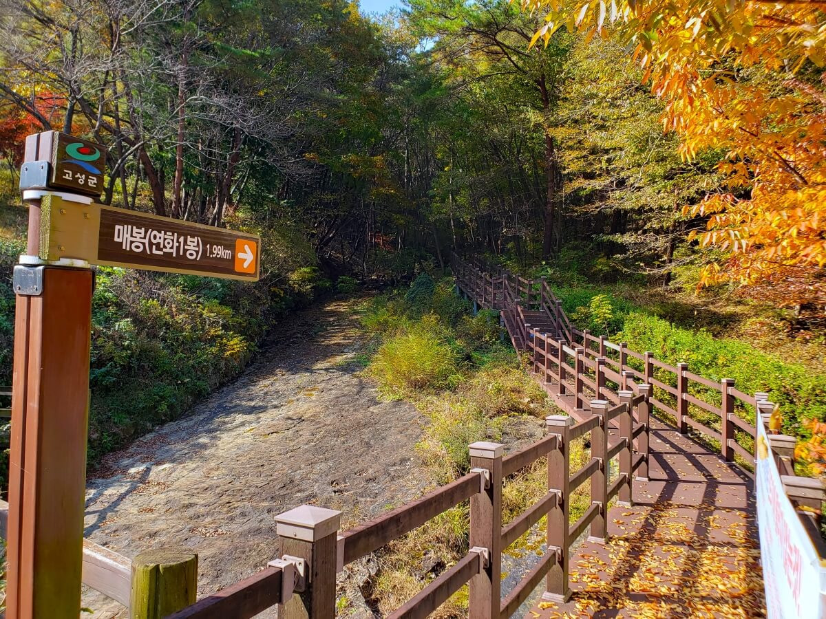 A trail sign pointing along a boardwalk and dinosaur footprints