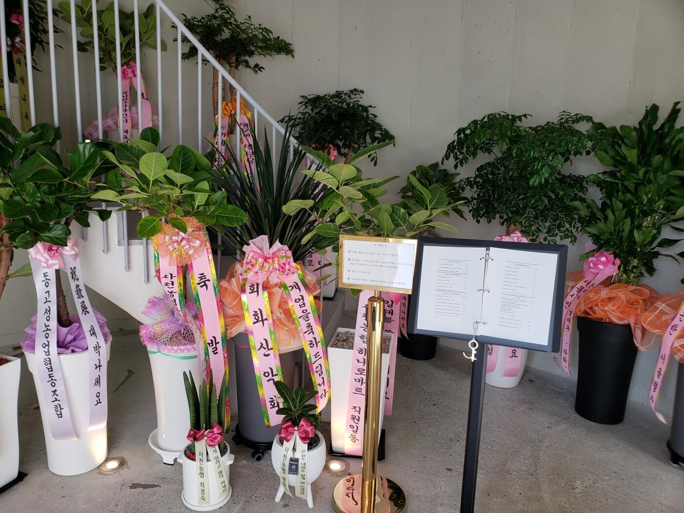 Menu on a stand at Café Zaha with welcoming potted trees