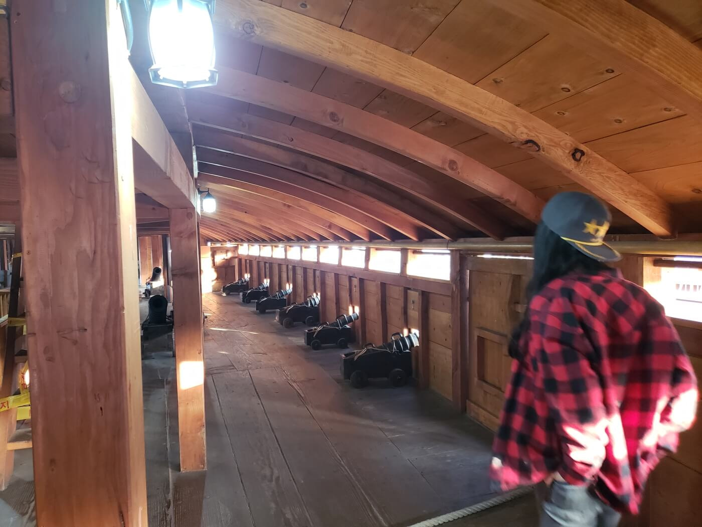 Canons lined up along the edge of a turtle ship