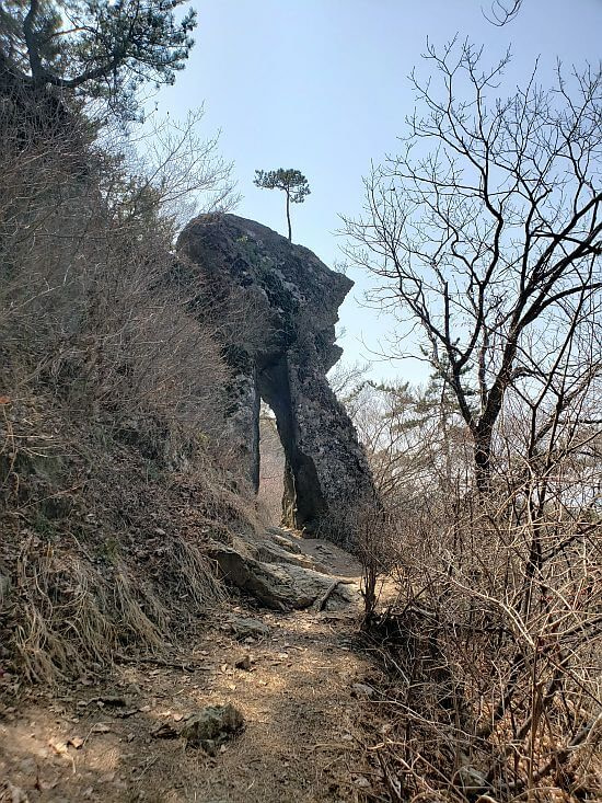 A tall rock with an opening known as ongcheokmun with a small tree on the top