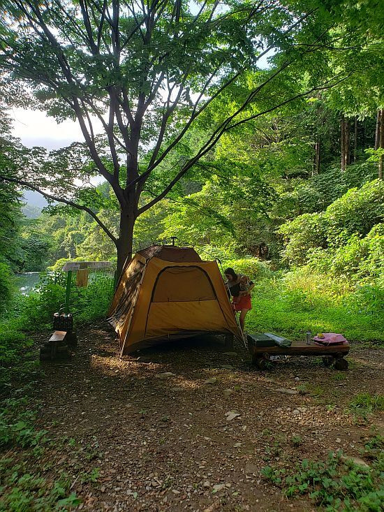 A tent set up on a platform under a tree