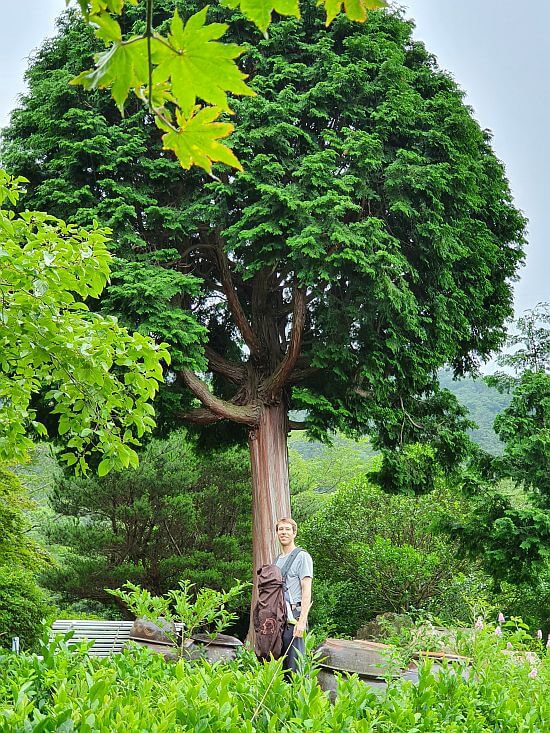 Nate standing next to a cool, large tree
