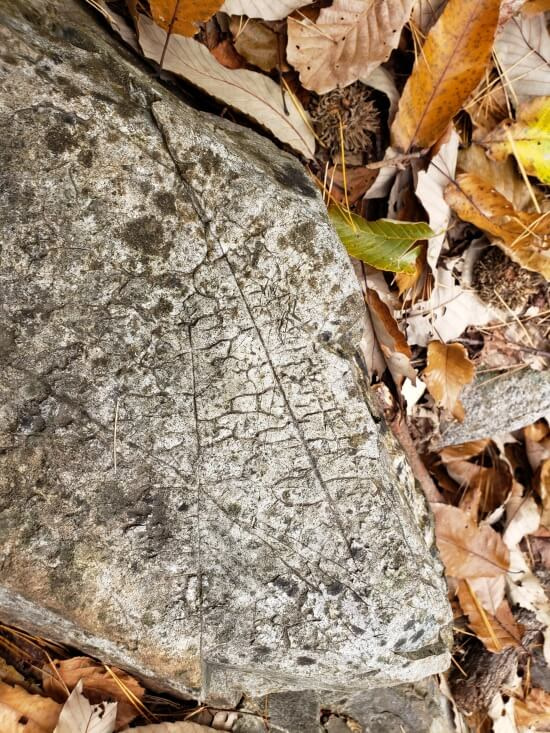 Marks in a rock
