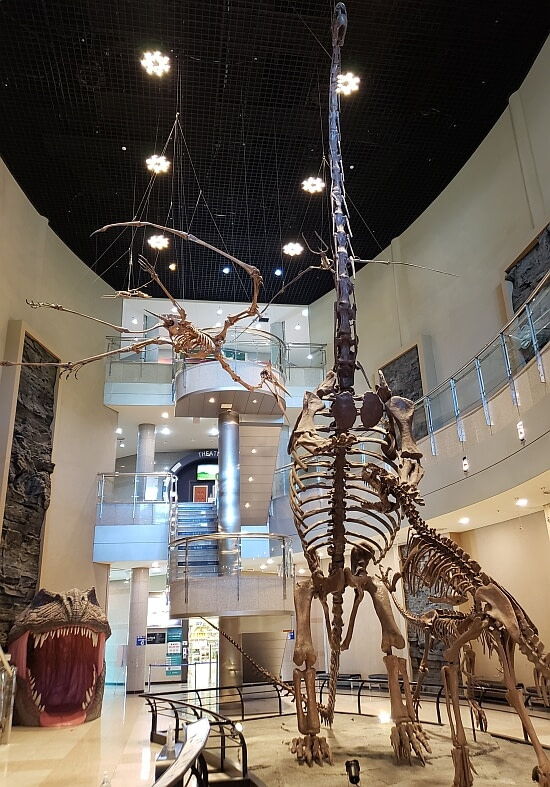 Long-necked and flying dinosaur skeletons in the Goseong Dinosaur Museum