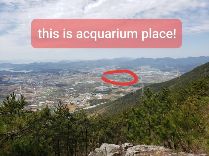 A scenic view with a landmark labeled