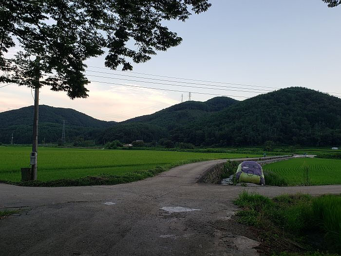 An intersection of small roads between rice fields at dusk