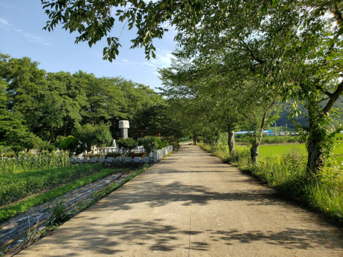 Driveway leading to parking lot at Jangsan Forest