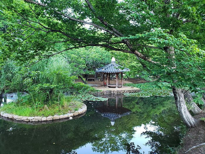 Islands in a pond with a tree and a gazebo