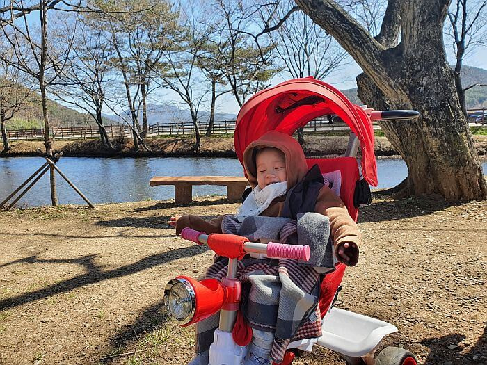 Noah smiling in a stroller next to a pond