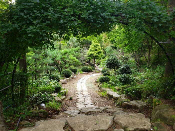 An archway with ivy over a path of stones through various vegetation