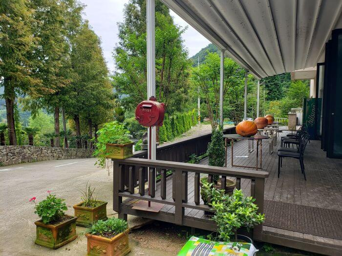 A deck with potted plants next to a driveway and pines