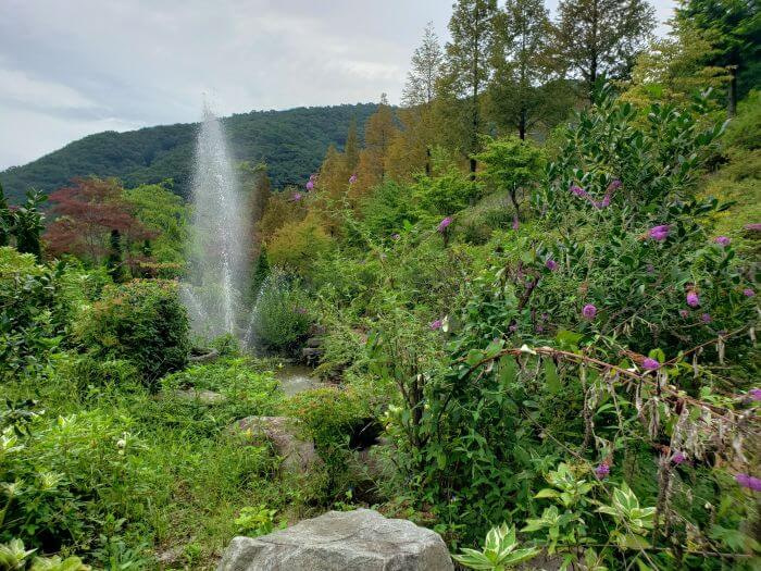 A fountain of water spewing up in a garden