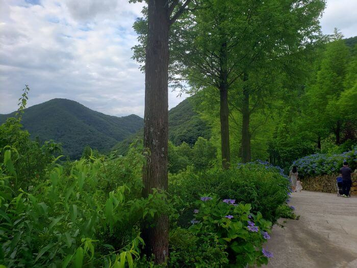 Couple walking down mountain garden road with a view of nearby mountainous terrain