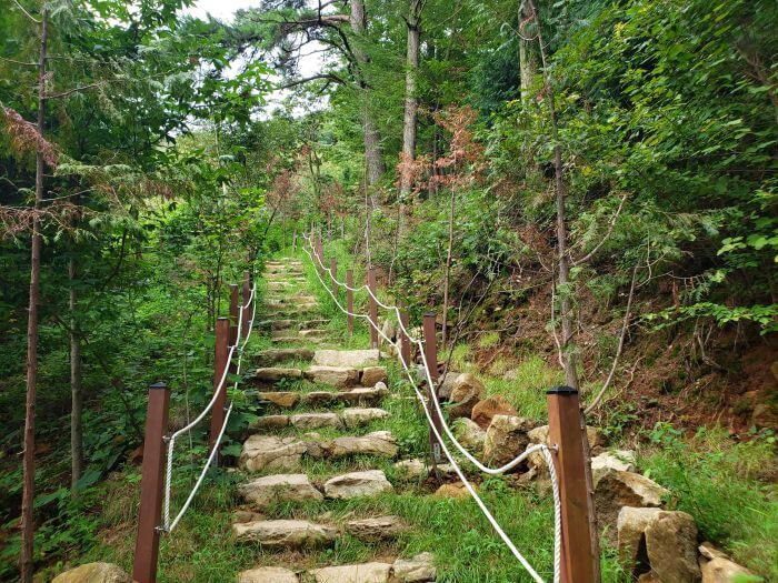 Rope handrails along stone stairs up a mountainside