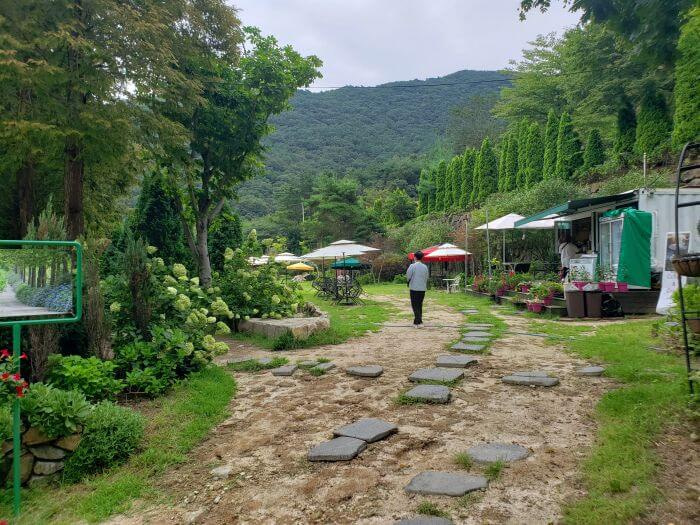 A man walking along stepping stones to a café in a grassy space surrounded by gardens and a row of pines