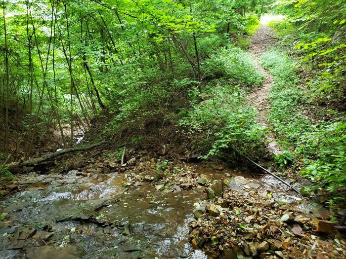 Water flowing over a riverbed down a ravine with an adjacent footpath