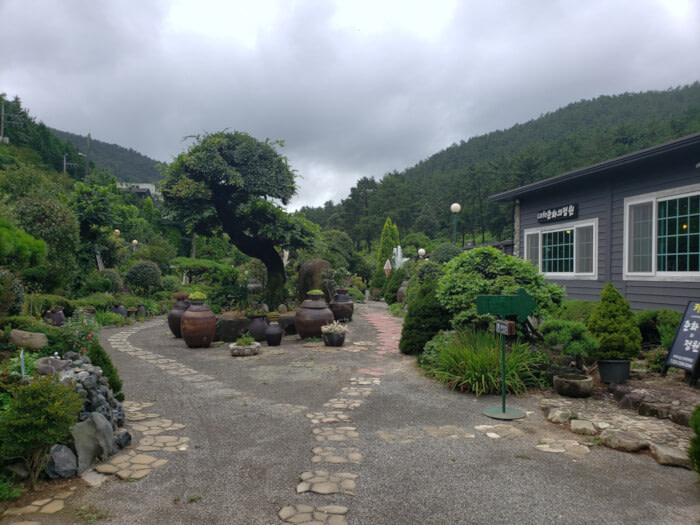 Entrance to Chunhwaui Joengwon with paths leading into a garden of small trees next to the café building