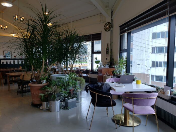 Interior of the café with some trees and plants