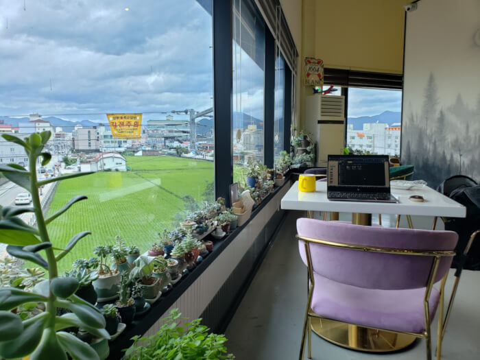 Table near window lined with small potted plants