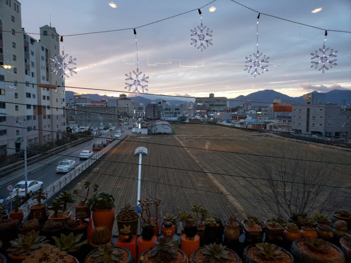 View out of the cacti-lined window of rice fields and downtown Goseong with a mountainous background and snowflake decorations