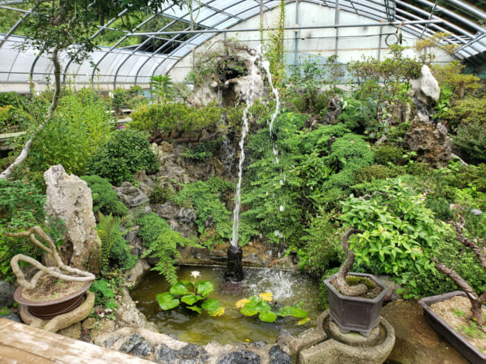 Fountain inside the greenhouse with green shrubbery and rocks all around