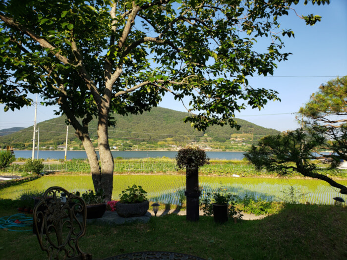 View of yard with tree and water and mountains in background at Daehuijae Café
