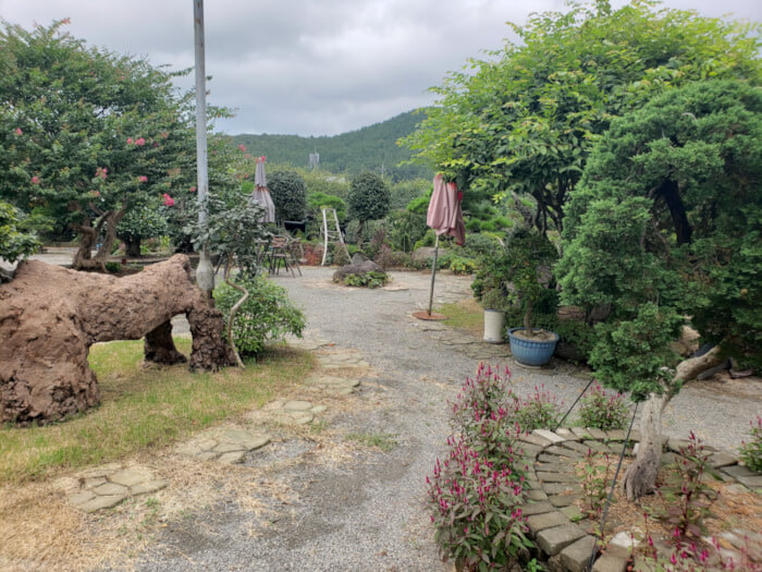 Paths leading among the flowers and bushes and bonsai trees in the garden