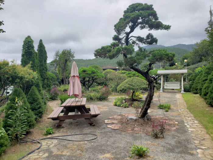 Table and umbrella outside next to a bonsai tree