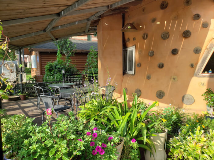 Table outside with various plants