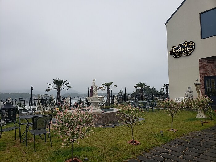 A grassy courtyard with small flowering bushes or trees next to Fortuna building