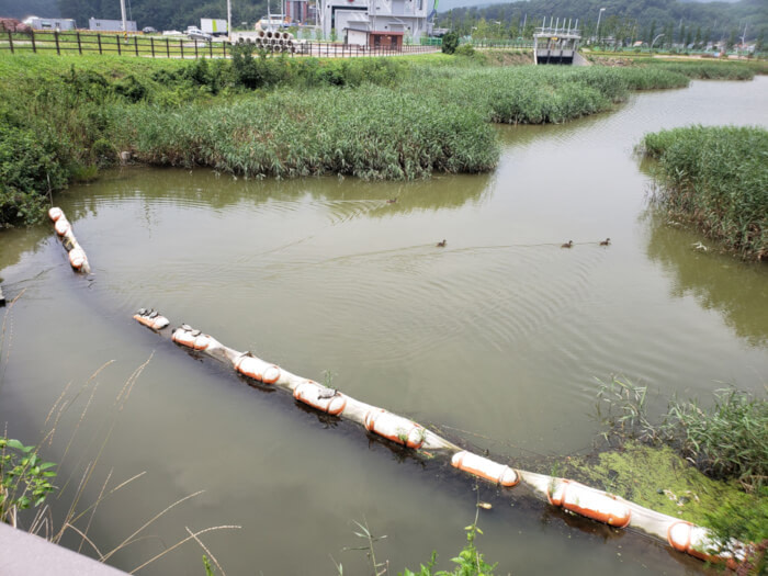 Turtles sitting on floating things in the water