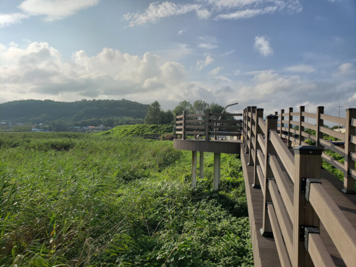 Boardwalk leading over grass and reeds with nice clouds over the mountains