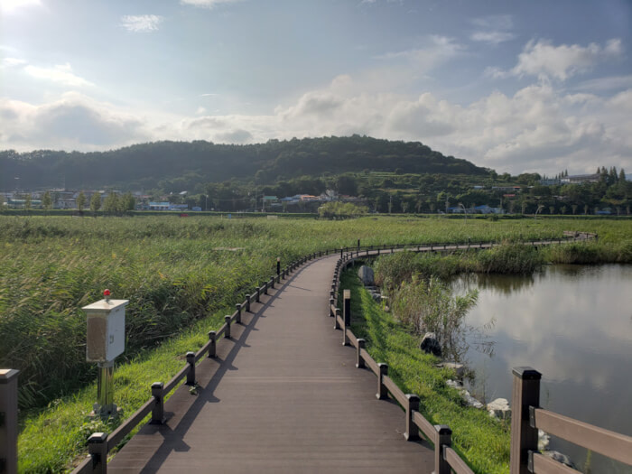 A boardwalk leading through the reeds across Sunam Reservoir with mountains in the background