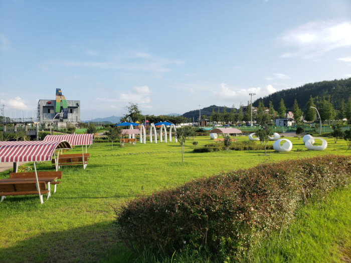 The grassy dinosaur play area with bushes along the edge