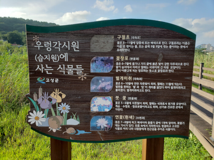 Signpost showing the types of flowers that can be seen at Baegse Park