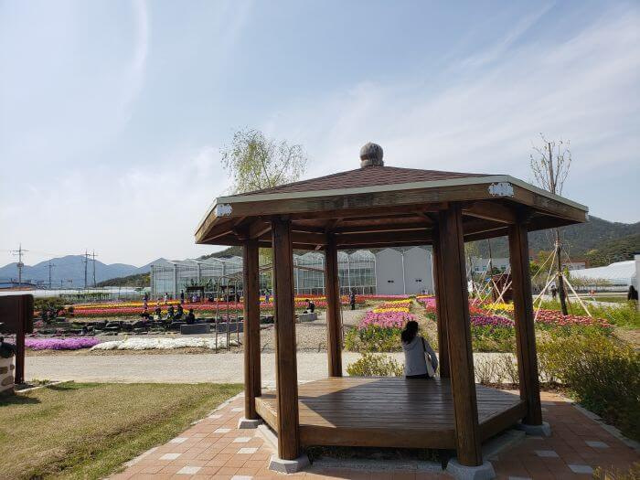 Woman sitting under a pavilion connecting the tulip garden to the healing herb garden