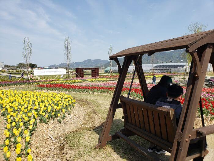 Wooden swing next to yellow tulips and a small pond with a mountainous background